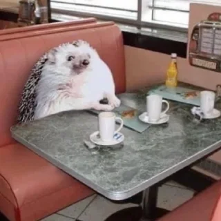 Стикер Ежи @BredRa - 4