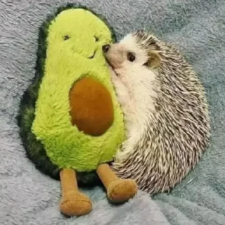 Стикер Ежи @BredRa - 8