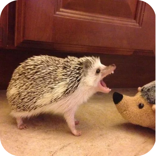 Sticker hedgehogs_980_by_anime4_robot - 1