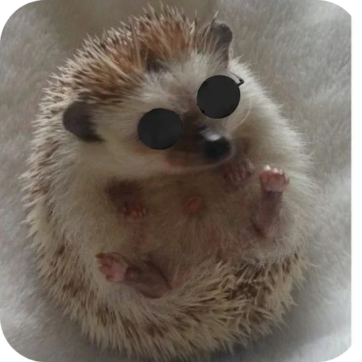Sticker hedgehogs_980_by_anime4_robot - 1