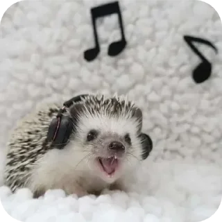 Стикер Hedgehogs @anime4_arts - 9