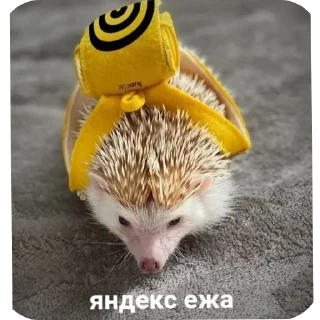 Стикер Hedgehogs @anime4_arts - 8