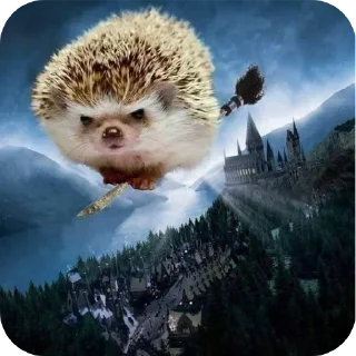 Стикер Hedgehogs @anime4_arts - 7