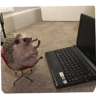 Стикер Hedgehogs @anime4_arts - 6