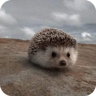 Стикер Hedgehogs @anime4_arts - 2