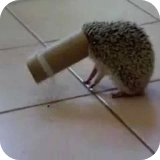 Стикер Hedgehogs @anime4_arts - 5