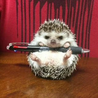 Стикер hedgehogs - 5