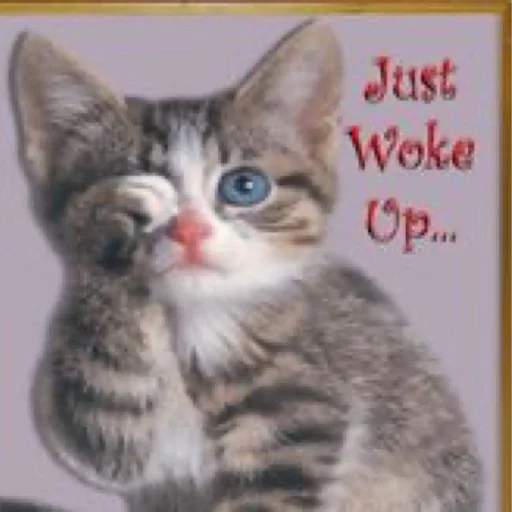 Стикер heeheebottomtext - 1