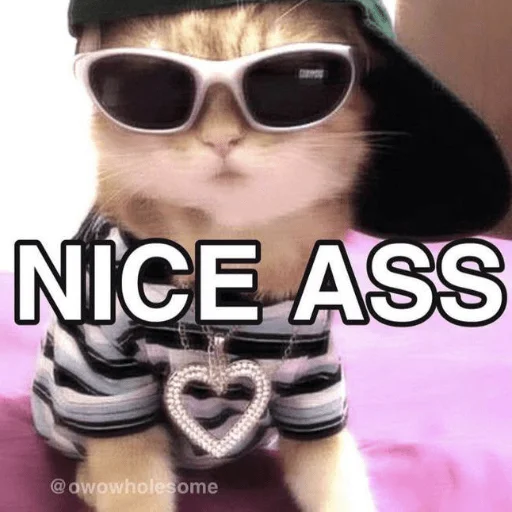 Sticker hehe_meow - 1