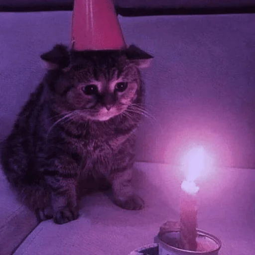 Sticker hehe_meow - 1