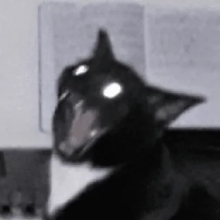 Sticker hehe meow - 5