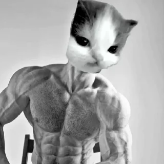 Стикер hehe cat - 1