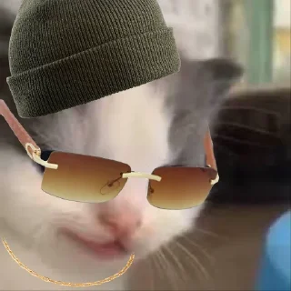 Стикер hehe cat - 4