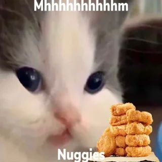 Стикер hehe cat - 11