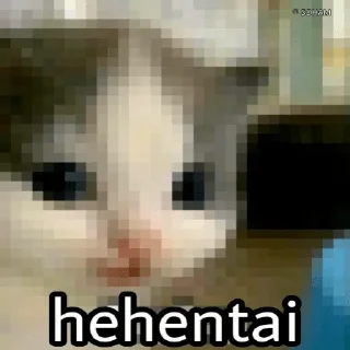 Стикер hehe cat - 10