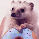 Стикер Ёжики - 0