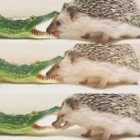 Стикер Ёжики - 1