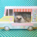 Стикер Ёжики - 8