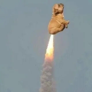 Стикер hehe not hehe - 9