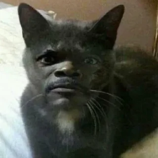 Стикер hehe not hehe - 5