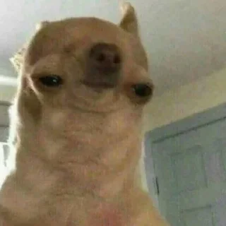 Стикер hehe not hehe - 7