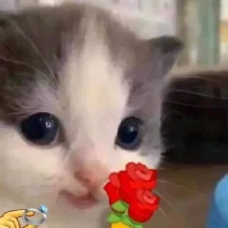 Стикер hehe not hehe - 11