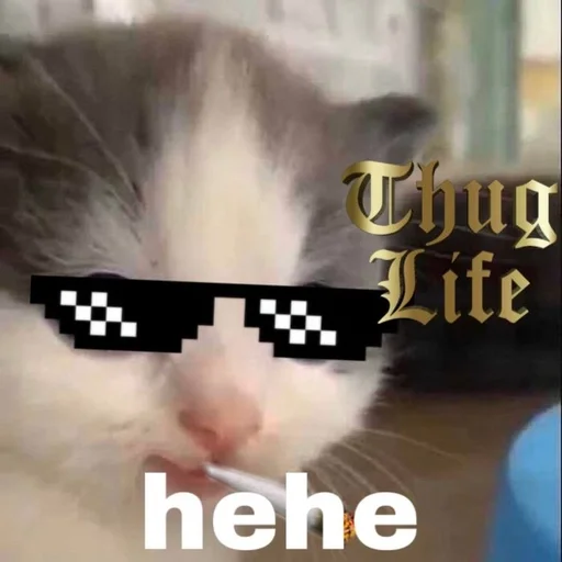 СМС животное млекопитающее