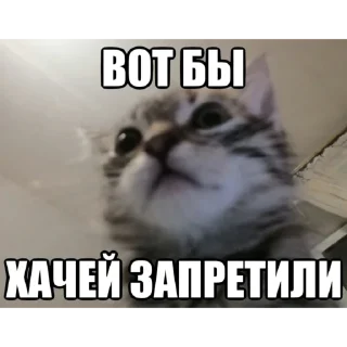 Стикер he @yksIfsbtIwtd - 8