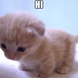 Стикер he @yksIfsbtIwtd - 3