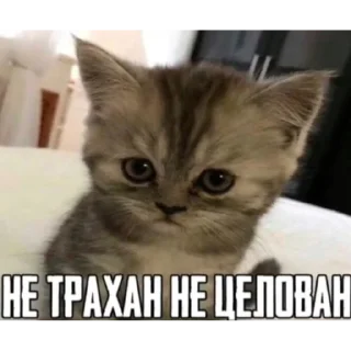 Стикер he @yksIfsbtIwtd - 9