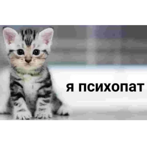 Стикер he @yksIfsbtIwtd - 4