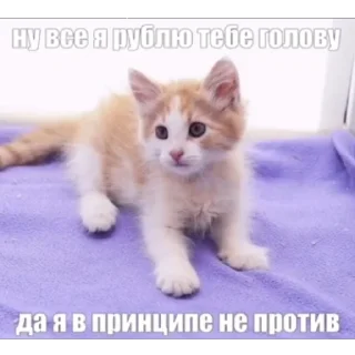 Стикер he @yksIfsbtIwtd - 7