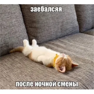 Стикер he @yksIfsbtIwtd - 2