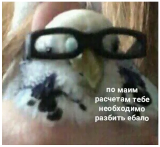 СМС очки Очки