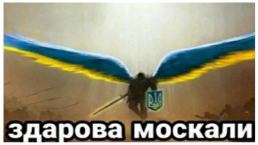 СМС крыло скриншот