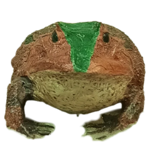 frog animal figure animal