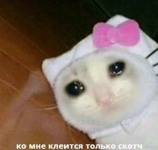 Стикер Hello kitty by @fStikBot - 4