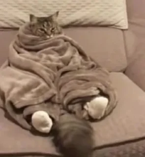 Sticker кисоньки by @IDobPbIu - 7