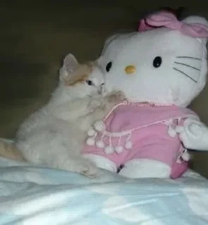 Sticker кисоньки by @IDobPbIu - 11