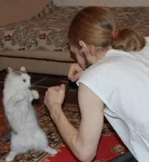 Sticker кисоньки by @IDobPbIu - 0