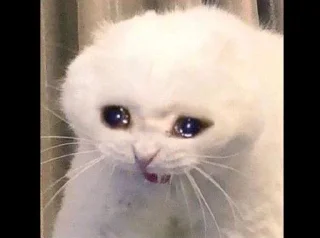 Sticker анньенхасэйо - 5