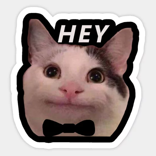 кошки малого и среднего размера кошачьи усы