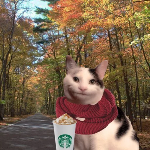 дерево на открытом воздухе животное