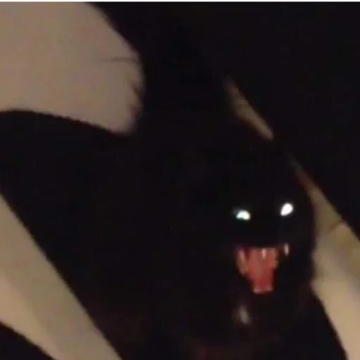 Sticker help_me_pls666 - 1