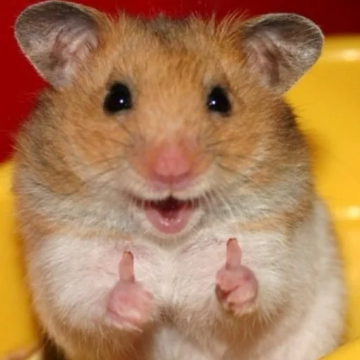 Стикер help_me_pls666 - 1