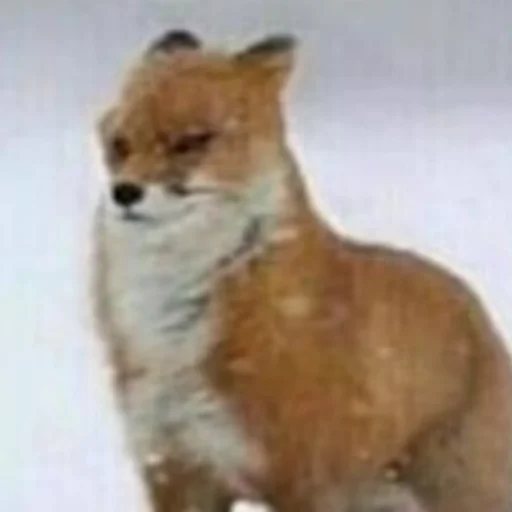 Sticker help_me_pls666 - 1