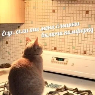 Стикер Помогите - 1