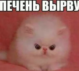 Стикер Помогите - 11