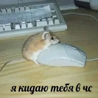 Стикер Помогите - 7