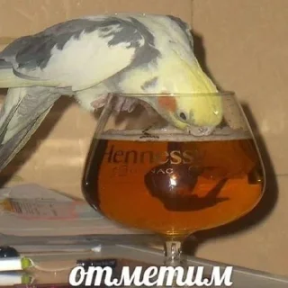 Стикер Помогите - 4